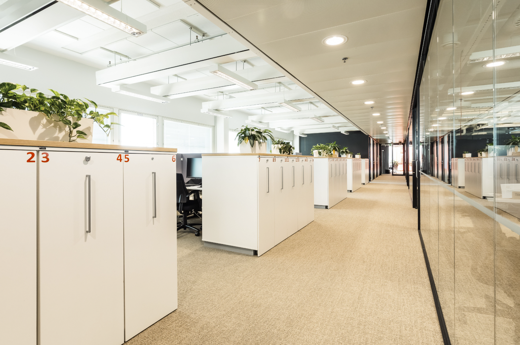 picture-of-neomore-office